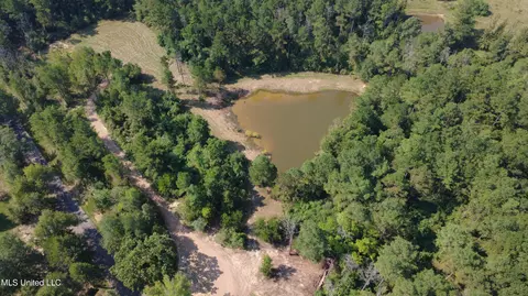 149 Lone Pine Rd, Canton, MS 39046 photo 3