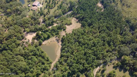 149 Lone Pine Rd, Canton, MS 39046 photo 10