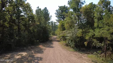 149 Lone Pine Rd, Canton, MS 39046 photo 8