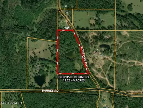 149 Lone Pine Rd, Canton, MS 39046 photo 14