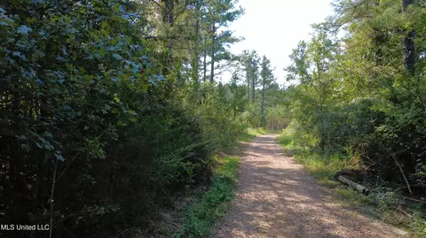 149 Lone Pine Rd, Canton, MS 39046 photo 5