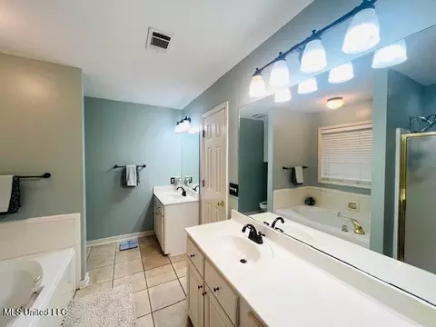 Bath - 259 Florence Cir, Florence, MS 39073 photo 3 of 4