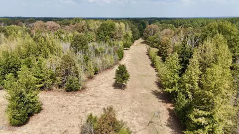 250 Mays Rd, Coldwater, MS 38618 photo 13
