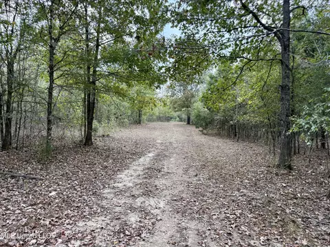 250 Mays Rd, Coldwater, MS 38618 photo 45