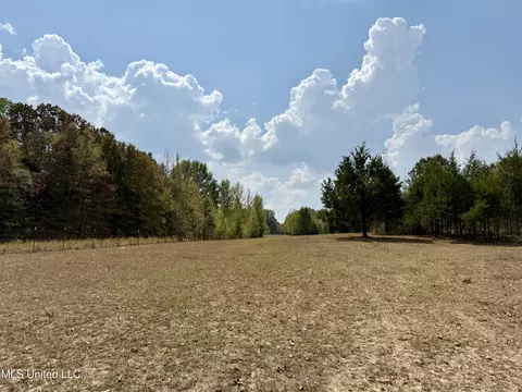 250 Mays Rd, Coldwater, MS 38618 photo 7