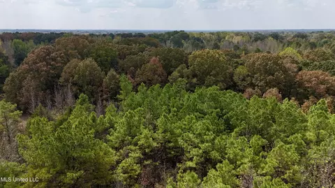 250 Mays Rd, Coldwater, MS 38618 photo 20