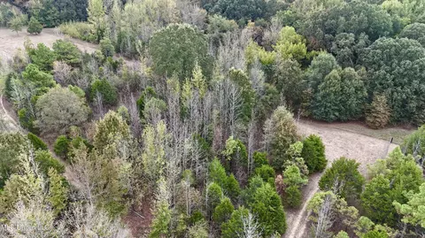 250 Mays Rd, Coldwater, MS 38618 photo 5