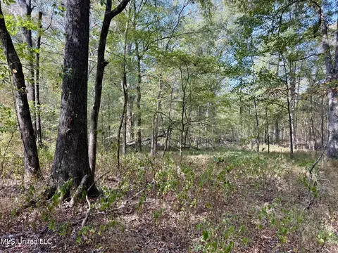 250 Mays Rd, Coldwater, MS 38618 photo 43
