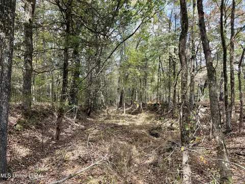 250 Mays Rd, Coldwater, MS 38618 photo 25