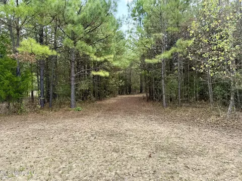 250 Mays Rd, Coldwater, MS 38618 photo 8
