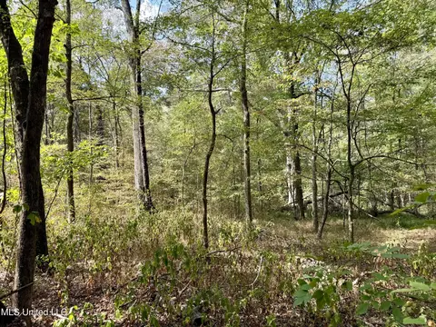 250 Mays Rd, Coldwater, MS 38618 photo 36