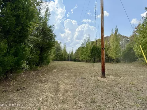 250 Mays Rd, Coldwater, MS 38618 photo 41