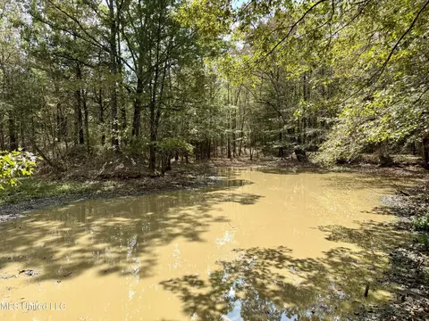 250 Mays Rd, Coldwater, MS 38618 photo 18