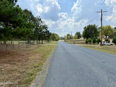 250 Mays Rd, Coldwater, MS 38618 photo 46
