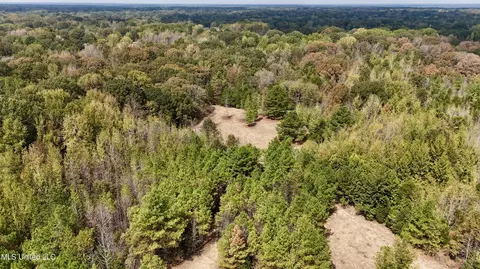 250 Mays Rd, Coldwater, MS 38618 photo 24