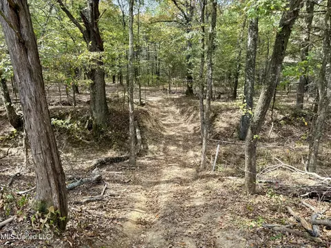 250 Mays Rd, Coldwater, MS 38618 photo 23