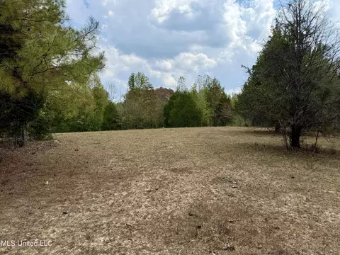 250 Mays Rd, Coldwater, MS 38618 photo 30