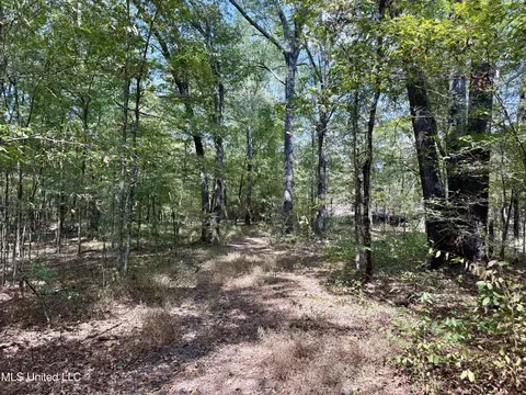 250 Mays Rd, Coldwater, MS 38618 photo 16
