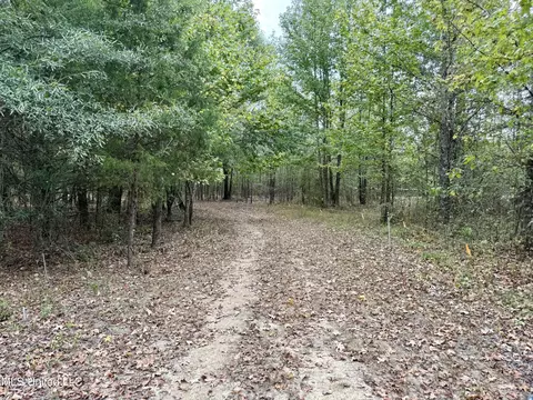 250 Mays Rd, Coldwater, MS 38618 photo 42
