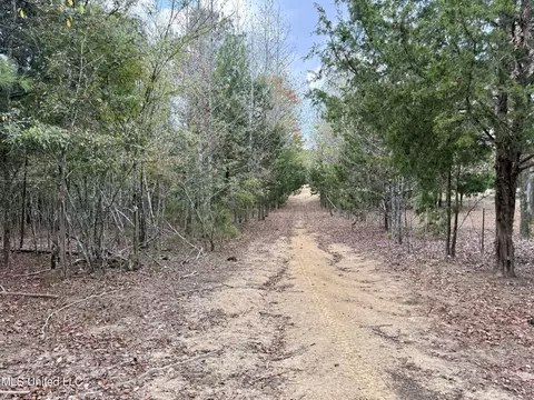 250 Mays Rd, Coldwater, MS 38618 photo 26