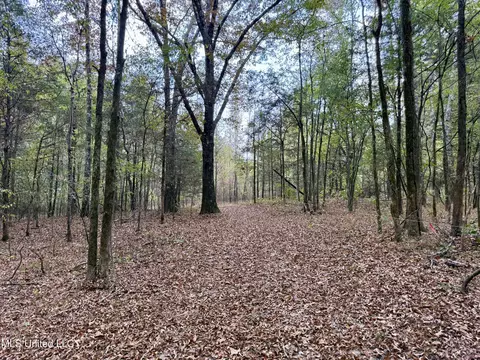 250 Mays Rd, Coldwater, MS 38618 photo 38