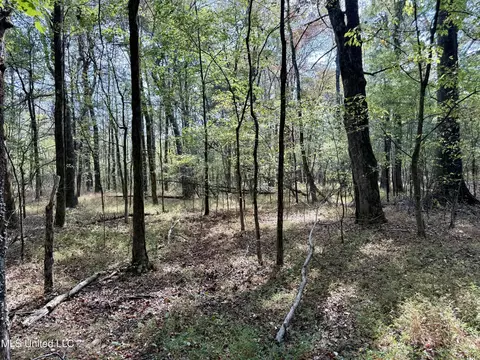 250 Mays Rd, Coldwater, MS 38618 photo 39
