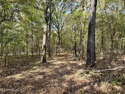 250 Mays Rd, Coldwater, MS 38618 photo 14