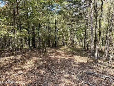250 Mays Rd, Coldwater, MS 38618 photo 15