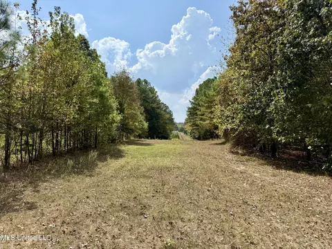250 Mays Rd, Coldwater, MS 38618 photo 6