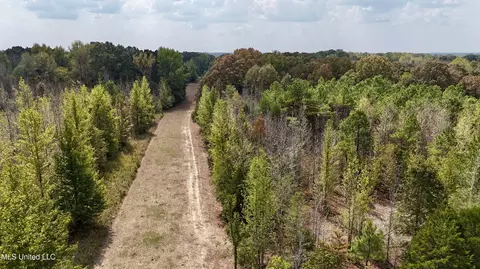 250 Mays Rd, Coldwater, MS 38618 photo 10