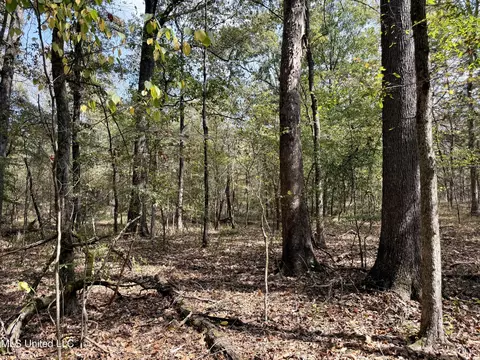 250 Mays Rd, Coldwater, MS 38618 photo 44
