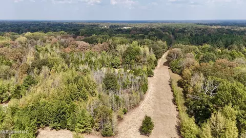 250 Mays Rd, Coldwater, MS 38618 photo 3