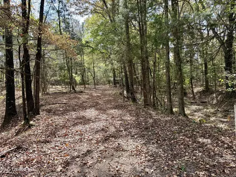 250 Mays Rd, Coldwater, MS 38618 photo 19
