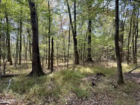 250 Mays Rd, Coldwater, MS 38618 photo 34