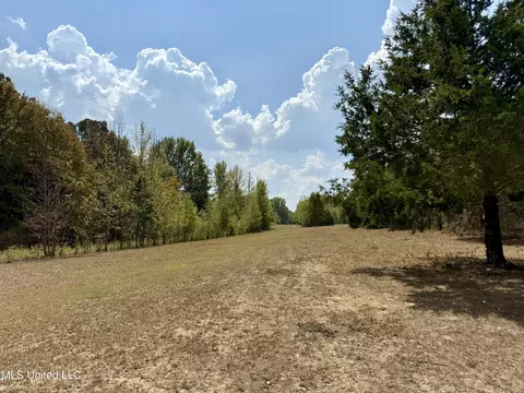 250 Mays Rd, Coldwater, MS 38618 photo 9