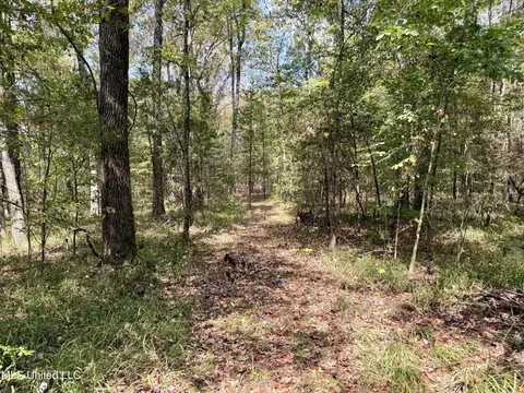 250 Mays Rd, Coldwater, MS 38618 photo 11