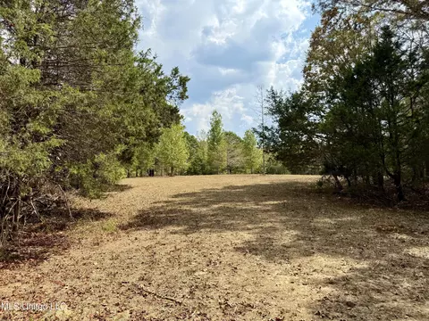 250 Mays Rd, Coldwater, MS 38618 photo 27