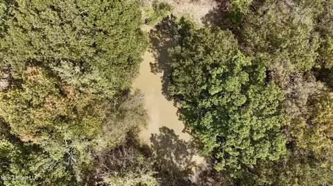 250 Mays Rd, Coldwater, MS 38618 photo 31