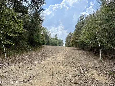 250 Mays Rd, Coldwater, MS 38618 photo 32