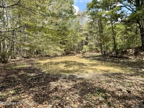 250 Mays Rd, Coldwater, MS 38618 photo 21