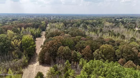 250 Mays Rd, Coldwater, MS 38618 photo 2