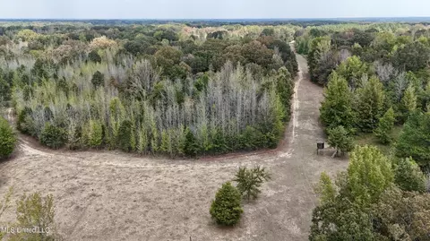 250 Mays Rd, Coldwater, MS 38618 photo 37