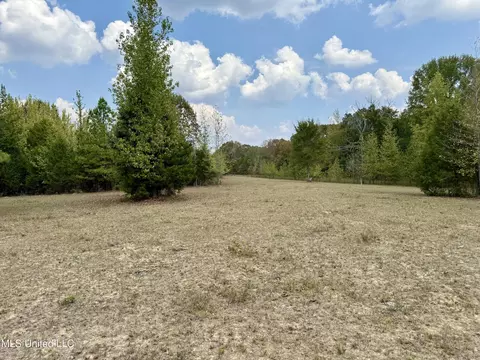 250 Mays Rd, Coldwater, MS 38618 photo 35