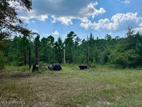 000 Gilbert Preston Rd, Saucier, MS 39574 photo 7
