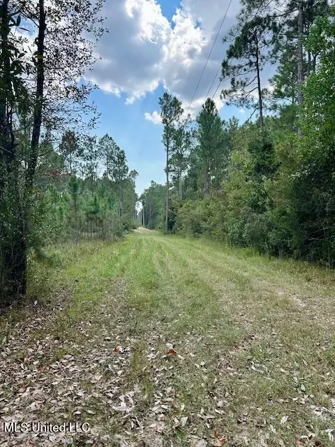 000 Gilbert Preston Rd, Saucier, MS 39574 photo 9