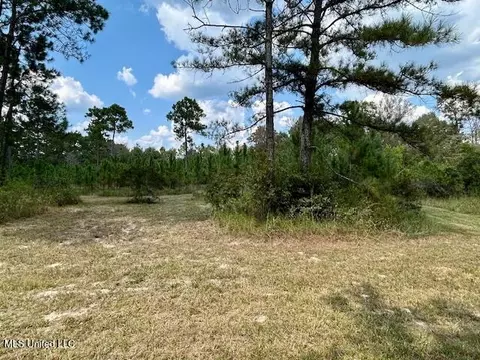 000 Gilbert Preston Rd, Saucier, MS 39574 photo 11
