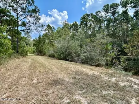 000 Gilbert Preston Rd, Saucier, MS 39574 photo 5