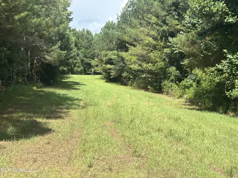 Bonds Road, Roxie, MS 39661 photo 9