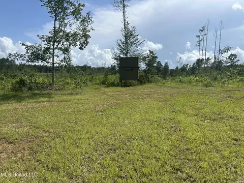 Bonds Road, Roxie, MS 39661 photo 14