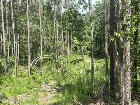 Bonds Road, Roxie, MS 39661 photo 6